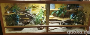 Holz Terrarium 150 x 60 x 60