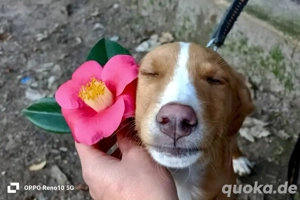 BAILA    kann es kaum erwarten