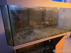 Zu verschenken aquarium 170x90x80 
