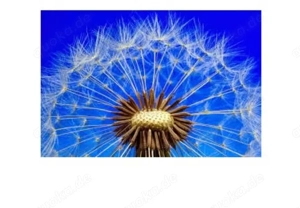 Massage noch heute für Sie