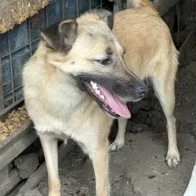 Lovely ca. 48 cm   die Lächelnde