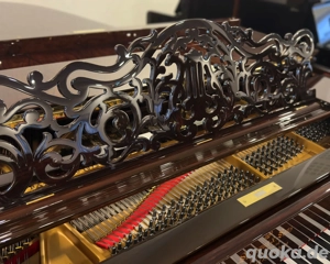 Steinway & Sons B-211 Flügel - Palisander - Hamburg 1896 Bild 2