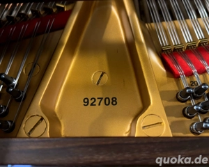 Steinway & Sons B-211 Flügel - Palisander - Hamburg 1896 Bild 8