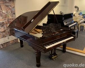 Steinway & Sons B-211 Flügel - Palisander - Hamburg 1896 Bild 4