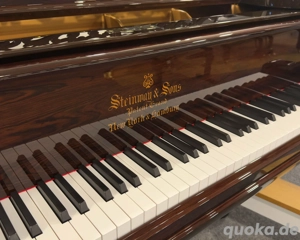 Steinway & Sons B-211 Flügel - Palisander - Hamburg 1896 Bild 3