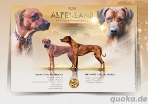 Wurfankündigung März 2026