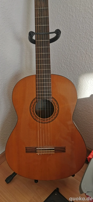 Gitarre Yamaha C40