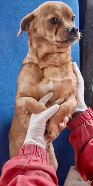 Kleine Knutschkugel Paule......