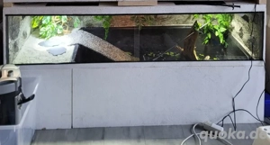 Terrarium, Paludarium, Aquarium