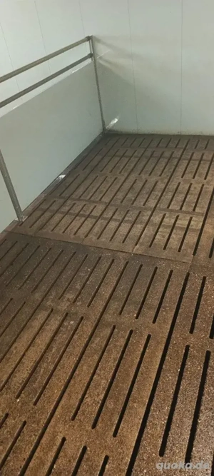 Stallreinigung, stall waschen, schweinestall waschen