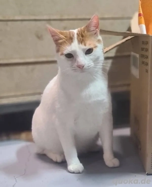 Denis Powerschmuser sucht tolle Familie