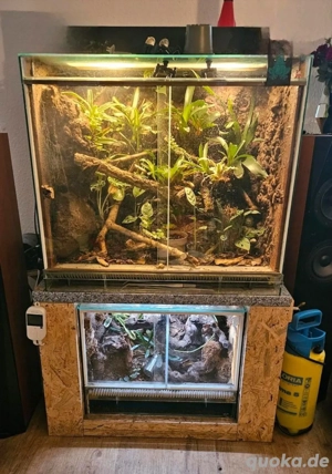 Automatisierte Terrarien mit viel Zubehör