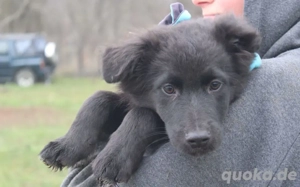 Tauro: Achtung - Kuschelgefahr!