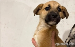 Marcie wartet auf ihr Ausreiseticket