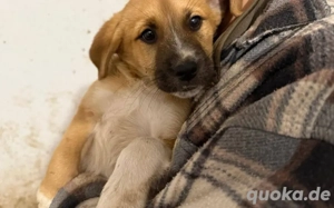 Enno hat seinen ganz eigenen Charme