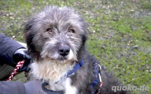 Die stille Mauri möchte gesehen werden