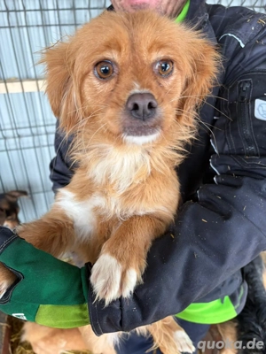 Lilo sucht ihr Glück 