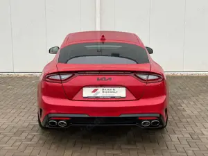 Kia Stinger GT 4WD 3.3TDG-i 360GRAD BASTUK AGA Bild 5
