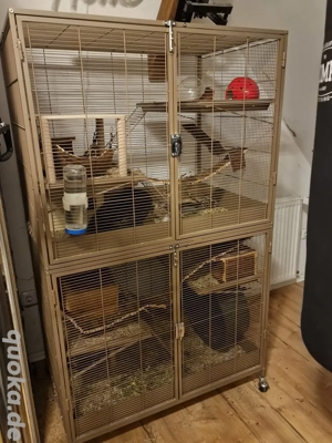 Degu Ratten Nager Käfig Voliere