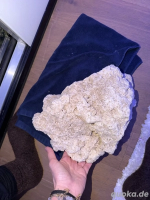 riffstein 7kg tausch gegen ableger egal was 