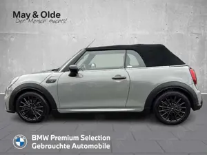 MINI Cooper S Cabrio JCW Trim HK SHZ RFK LED DAB Leder Digitales Cockp Bild 2