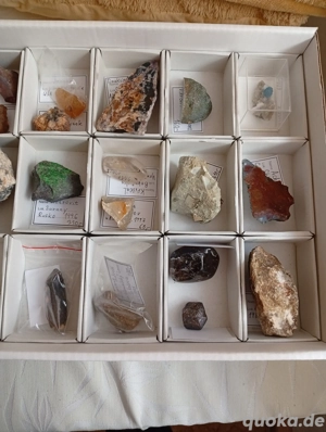 Große Auswahl an Mineralien zu verkaufen