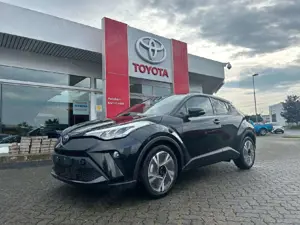 Toyota C-HR Hybrid Team D