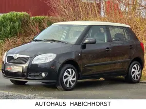 Skoda Fabia Ambiente/ Klima/Tempomat/Allwetterreifen