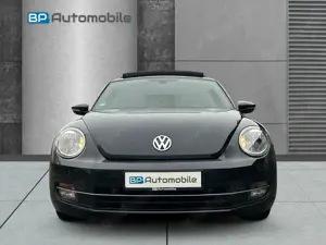 Volkswagen Beetle Bild 3