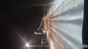 wir suchen einen hund