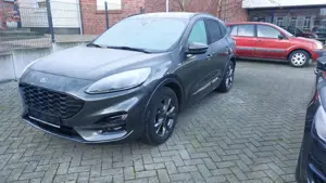 Ford Kuga ST-Line X