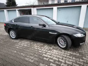 Jaguar XF XF 25d AWD Aut. Prestige Bild 3