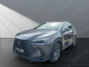 Lexus NX 350h h 243PS  Sitzklima Connect, 360°