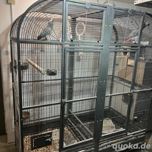 papageinkäfig