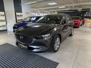 Mazda CX-30 Skyactiv 2.0 l 150 PS M Hybrid Selection