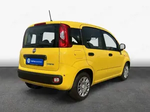Fiat Panda 1.0 GSE Hybrid 51 kW, 5-türig Bild 2