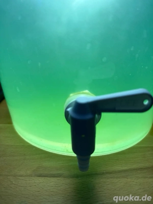 Phytoplankton synechococcus sp.