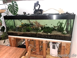 750 Liter Aquarium komplett 
