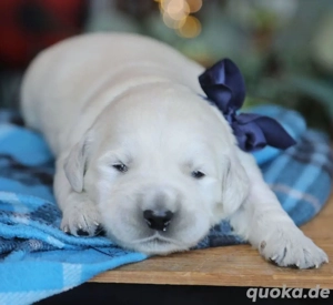 Diese Kurzinformation bietet einen Überblick über den Adoptionsprozess