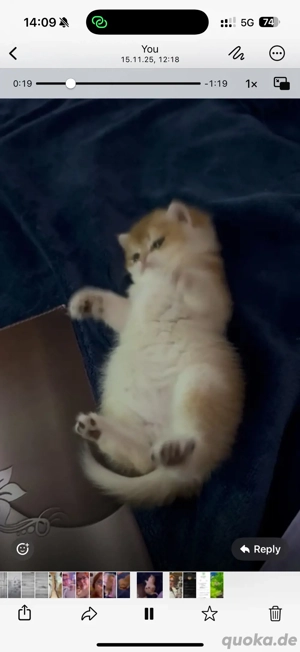 Kevin Wunderschön und zart wie keine andere 