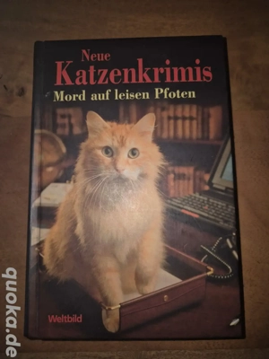 Katzenkrimis Mord auf leisen Pfoten 