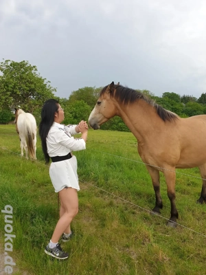 Nebenjob Praktikum Minijob