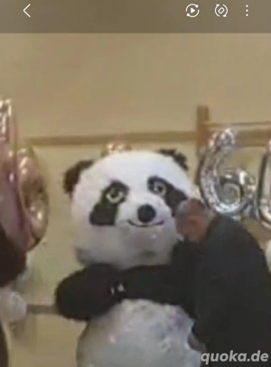 panda kostüm 