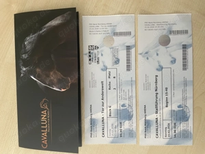 Cavalluna-Tickets für Nürnberg am 15.02.2026 abzugeben