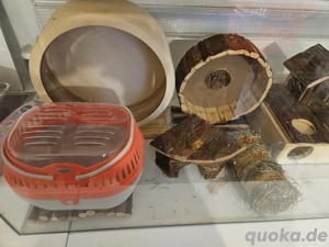 Terrarium für kleintiere