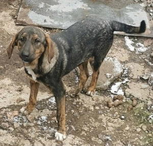 Ich bin noch ein Baby und suche ein herzliches Zuhause.