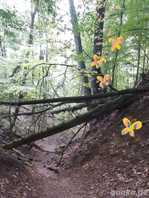 Freizeitpartnerin gesucht 