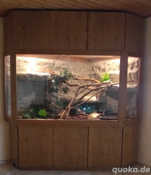 Verkaufe sehr großes Terrarium - XXL 