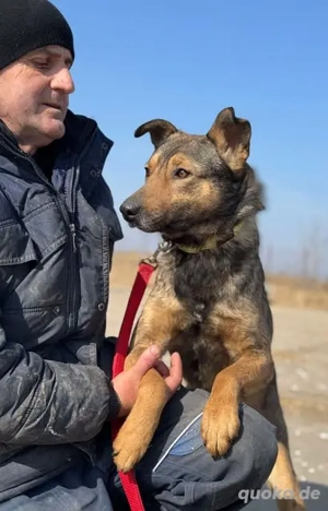 Pascha - wünscht sich Aufmerksamkeit - und Zuwendung