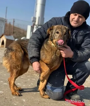 Marko - voller Power und Energie - sprüht vor Lebensfreude